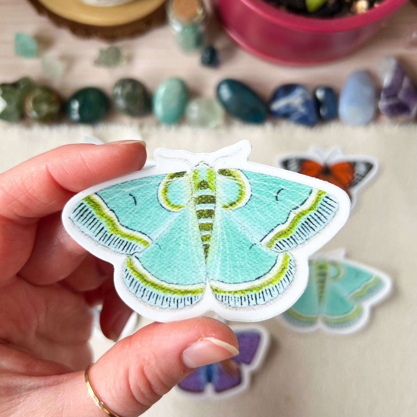 Teal and Lime Green Moth Sticker