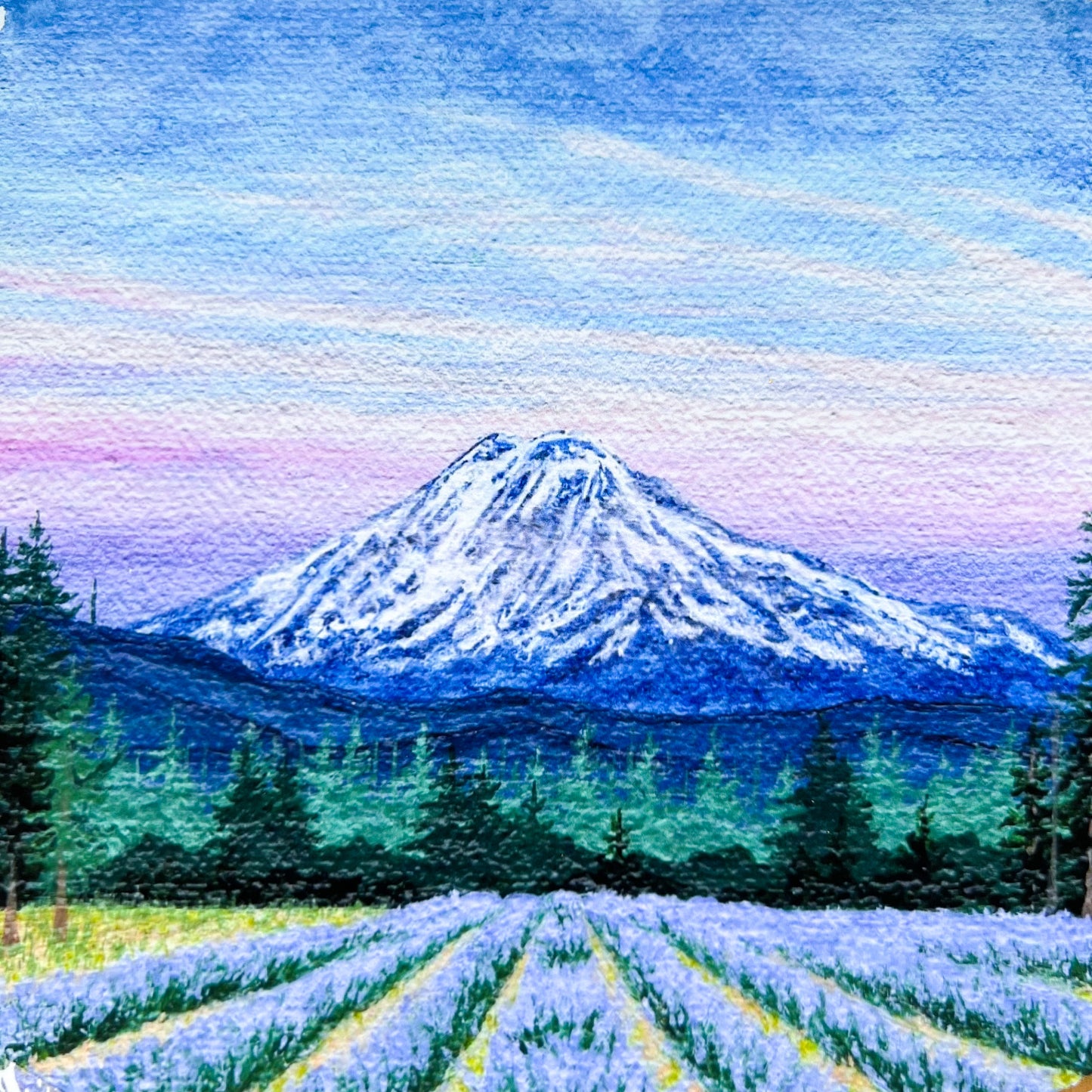 Lavender Fields Print