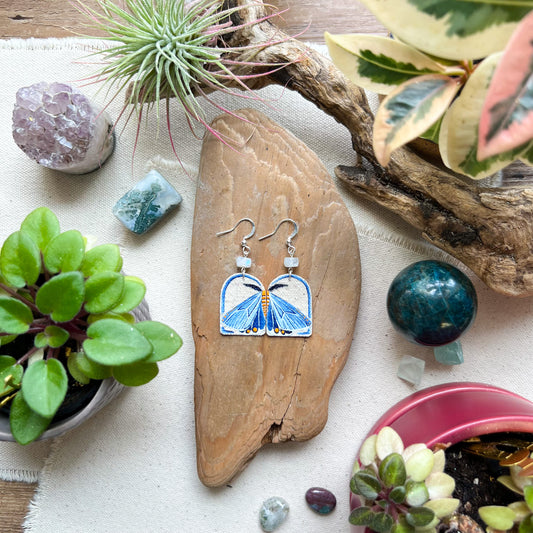 Moona Moth Earrings