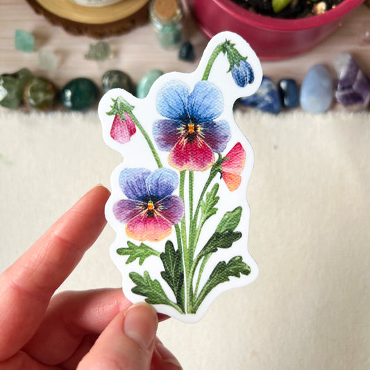 Pansy Sticker