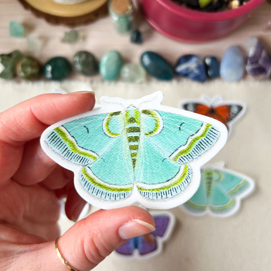 Teal and Lime Green Moth Sticker