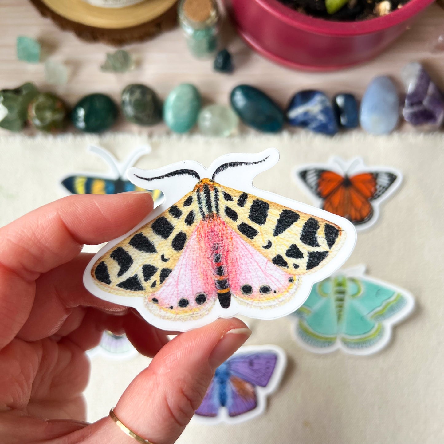 Pink and Yellow Moth Sticker