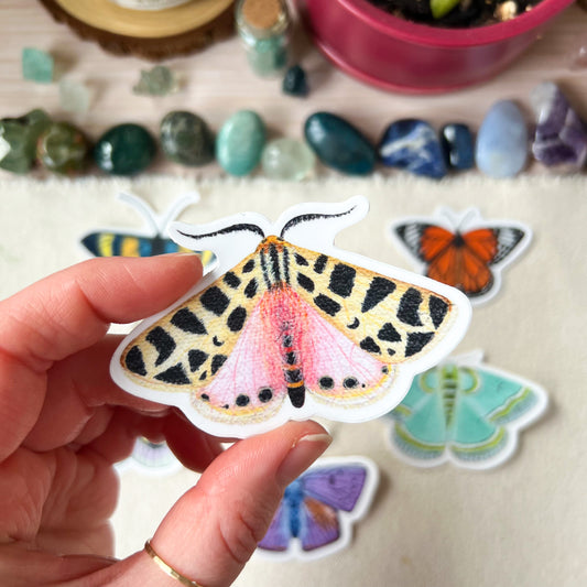 Pink and Yellow Moth Sticker