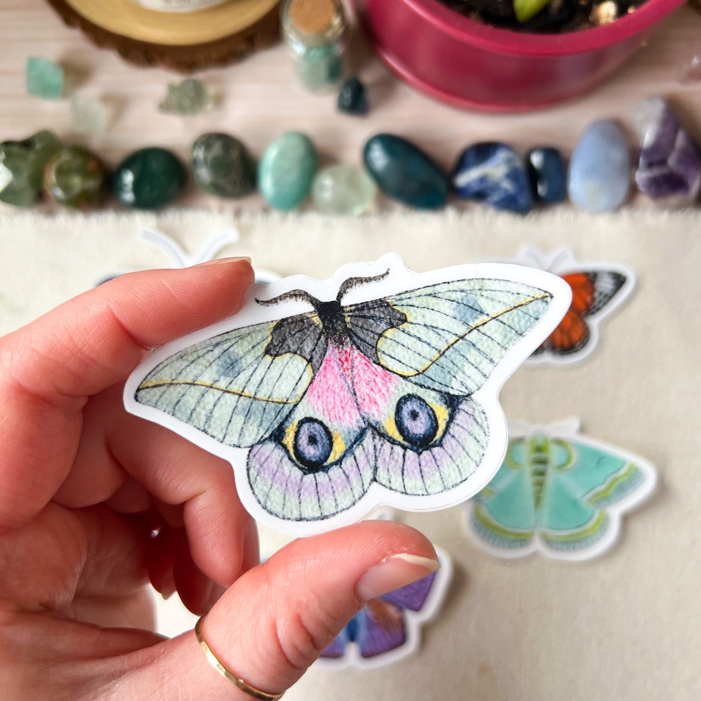 Multi Colored Moth Sticker