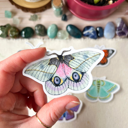 Multi Colored Moth Sticker