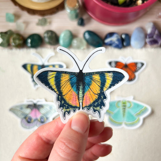 Blue, Pink, & Orange Moth Sticker.