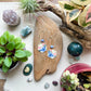 Blue Butterfly Earrings