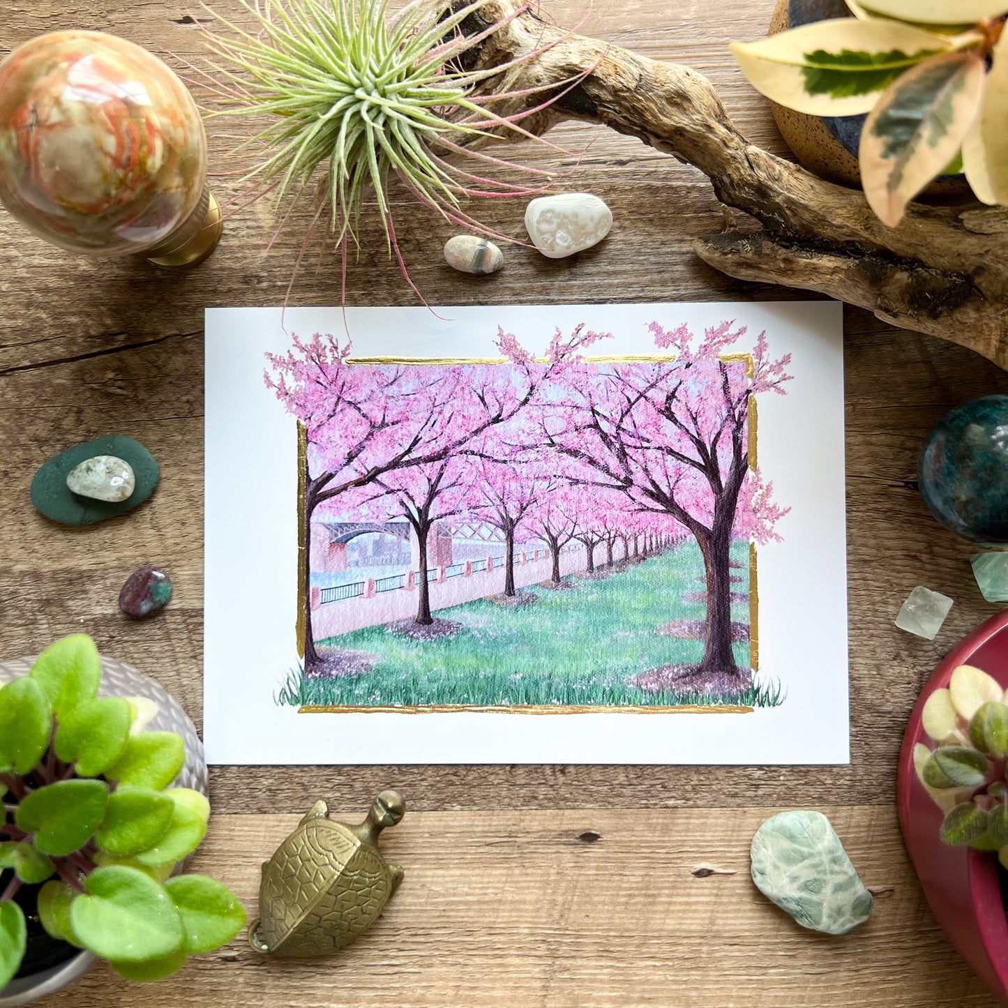 “Cocoon of Tranquility” Print