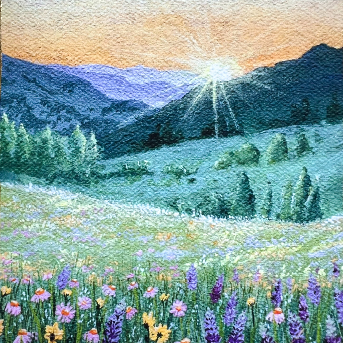 “Daybreak Over The Wildflowers” Print